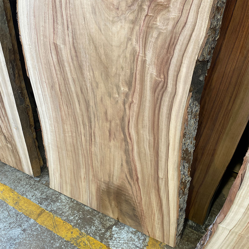 NT_Solid timber slab in Camphor Laurel_139